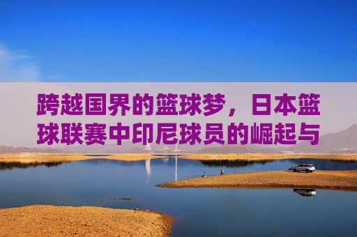 跨越国界的篮球梦,日本篮球联赛中印尼球员的崛起与挑战