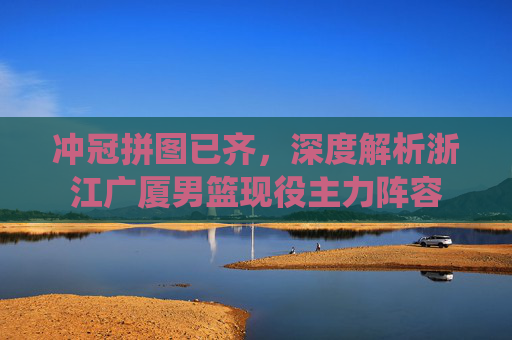 冲冠拼图已齐,深度解析浙江广厦男篮现役主力阵容