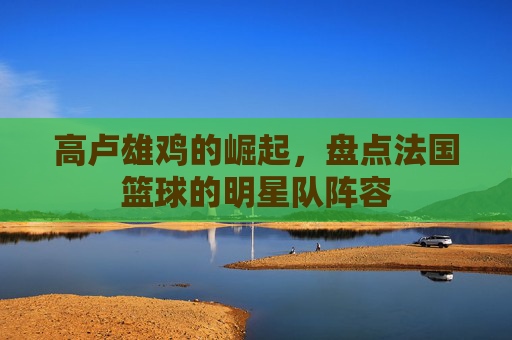 高卢雄鸡的崛起,盘点法国篮球的明星队阵容