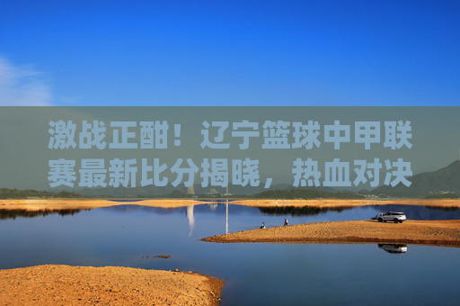 激战正酣!辽宁篮球中甲联赛最新比分揭晓,热血对决引爆赛场