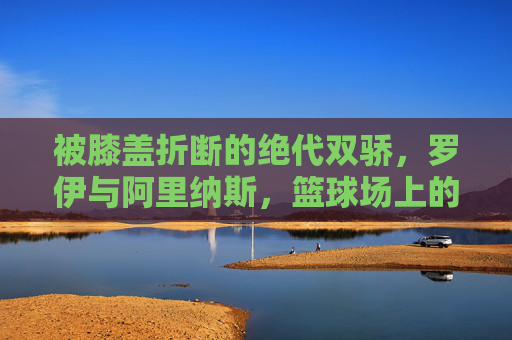 被膝盖折断的绝代双骄，罗伊与阿里纳斯，篮球场上的悲情宿命