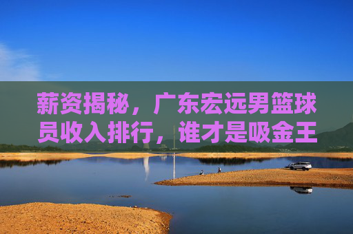 薪资揭秘,广东宏远男篮球员收入排行,谁才是吸金王?