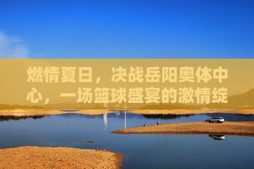 燃情夏日，决战岳阳奥体中心，一场篮球盛宴的激情绽放