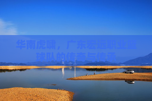 华南虎啸,广东宏远职业篮球队的传奇与传承