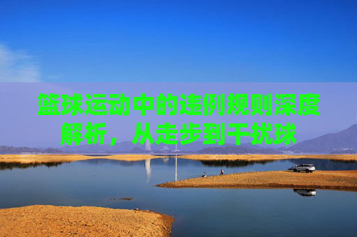 篮球运动中的违例规则深度解析，从走步到干扰球