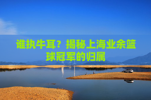 谁执牛耳?揭秘上海业余篮球冠军的归属