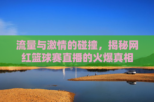 流量与激情的碰撞,揭秘网红篮球赛直播的火爆真相