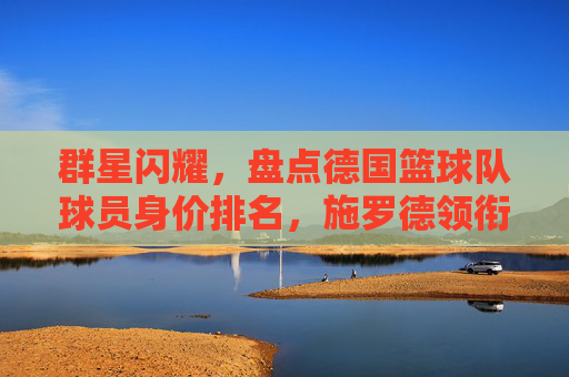 群星闪耀,盘点德国篮球队球员身价排名,施罗德领衔众将