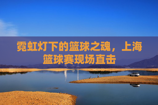 霓虹灯下的篮球之魂,上海篮球赛现场直击