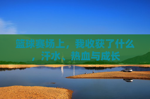 篮球赛场上，我收获了什么，汗水、热血与成长