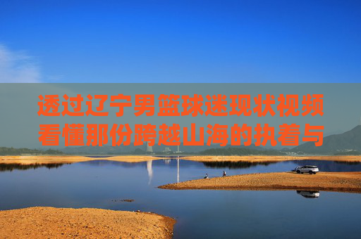 透过辽宁男篮球迷现状视频看懂那份跨越山海的执着与热爱