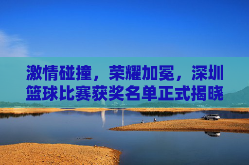激情碰撞,荣耀加冕,深圳篮球比赛获奖名单正式揭晓