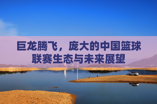 巨龙腾飞,庞大的中国篮球联赛生态与未来展望