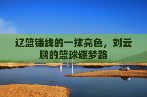 辽篮锋线的一抹亮色,刘云鹏的篮球逐梦路