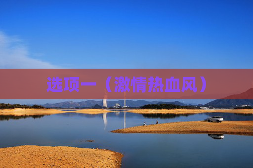 选项一(激情热血风)