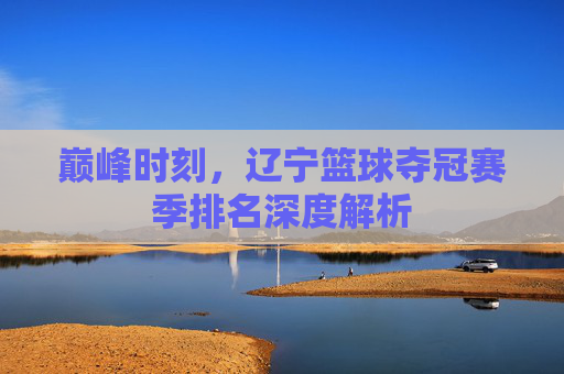 巅峰时刻，辽宁篮球夺冠赛季排名深度解析