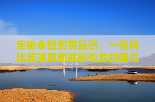 定格永恒的黑曼巴，一张科比篮球页面截图引发的回忆