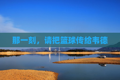 那一刻，请把篮球传给韦德