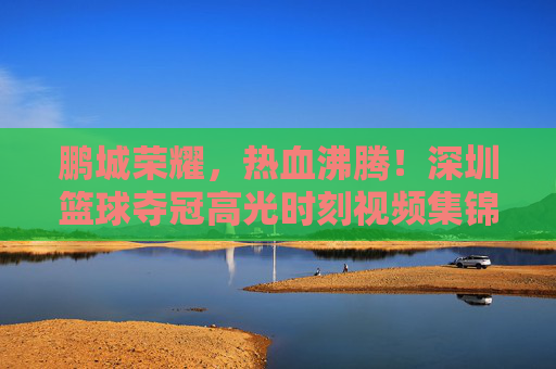 鹏城荣耀,热血沸腾!深圳篮球夺冠高光时刻视频集锦