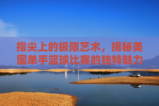指尖上的极限艺术,揭秘美国单手篮球比赛的独特魅力