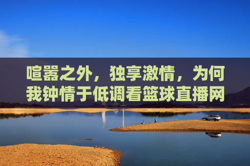 喧嚣之外,独享激情,为何我钟情于低调看篮球直播网站
