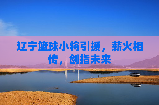 辽宁篮球小将引援,薪火相传,剑指未来