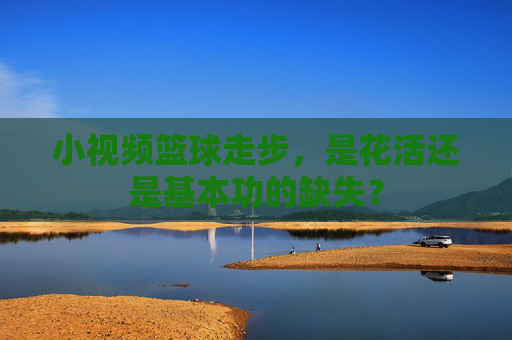 小视频篮球走步，是花活还是基本功的缺失？