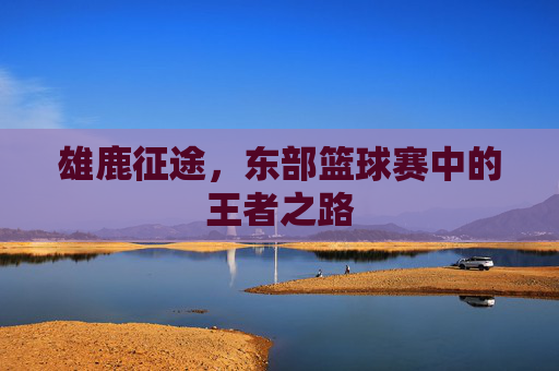 雄鹿征途,东部篮球赛中的王者之路