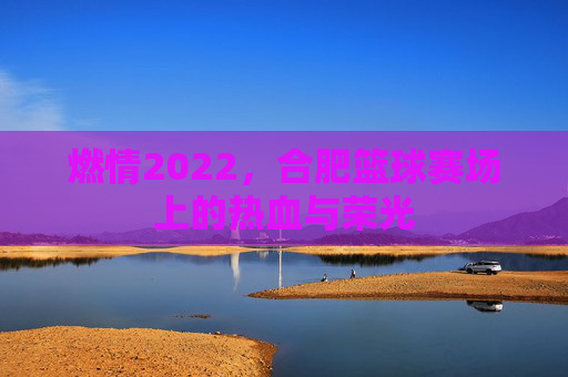 燃情2022,合肥篮球赛场上的热血与荣光