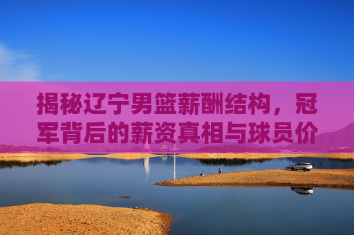 揭秘辽宁男篮薪酬结构,冠军背后的薪资真相与球员价值