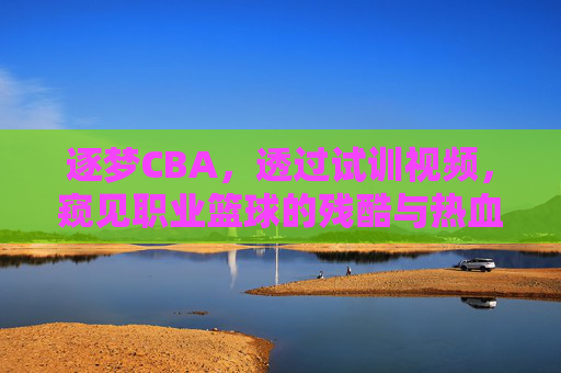 逐梦CBA,透过试训视频,窥见职业篮球的残酷与热血