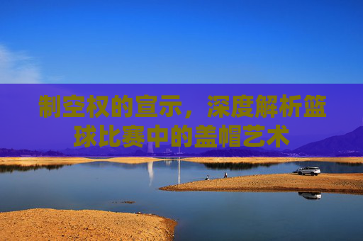 制空权的宣示,深度解析篮球比赛中的盖帽艺术