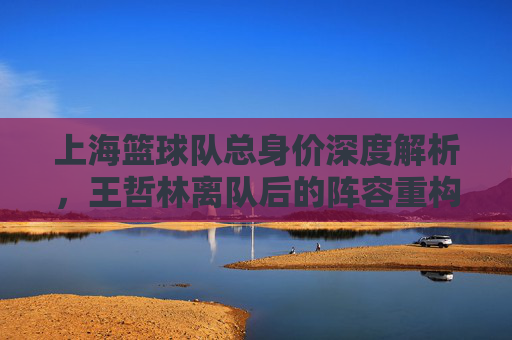 上海篮球队总身价深度解析,王哲林离队后的阵容重构与市场价值重塑
