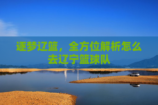 逐梦辽篮,全方位解析怎么去辽宁篮球队