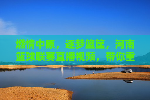 燃情中原,逐梦篮筐,河南篮球联赛直播视频,带你重温热血时刻
