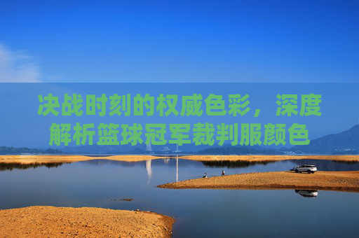 决战时刻的权威色彩,深度解析篮球冠军裁判服颜色