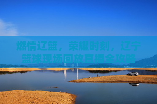 燃情辽篮,荣耀时刻,辽宁篮球现场回放直播全攻略