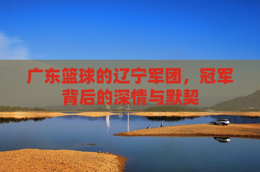 广东篮球的辽宁军团,冠军背后的深情与默契