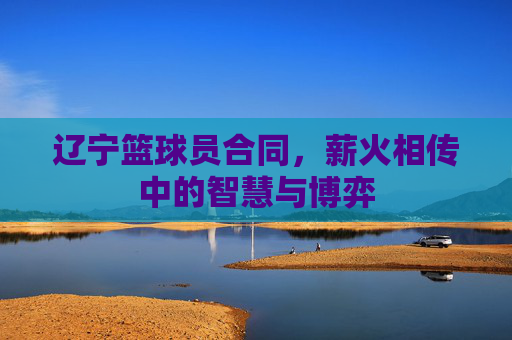辽宁篮球员合同,薪火相传中的智慧与博弈