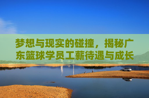 梦想与现实的碰撞,揭秘广东篮球学员工薪待遇与成长路径