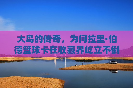 大鸟的传奇，为何拉里·伯德篮球卡在收藏界屹立不倒