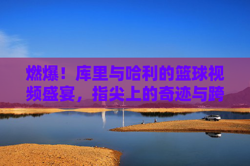 燃爆!库里与哈利的篮球视频盛宴,指尖上的奇迹与跨界狂欢