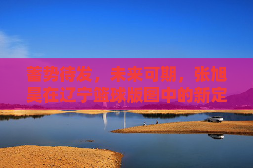 蓄势待发，未来可期，张旭昊在辽宁篮球版图中的新定位