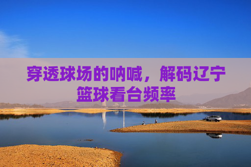 穿透球场的呐喊,解码辽宁篮球看台频率