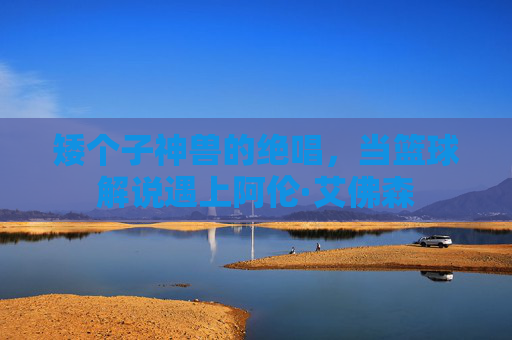 矮个子神兽的绝唱,当篮球解说遇上阿伦·艾佛森