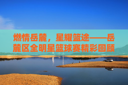 燃情岳麓,星耀篮途——岳麓区全明星篮球赛精彩回顾