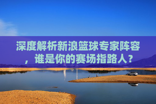 深度解析新浪篮球专家阵容，谁是你的赛场指路人？
