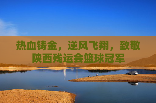 热血铸金,逆风飞翔,致敬陕西残运会篮球冠军