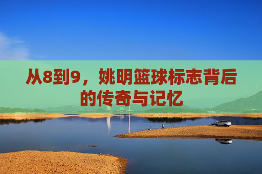 从8到9,姚明篮球标志背后的传奇与记忆