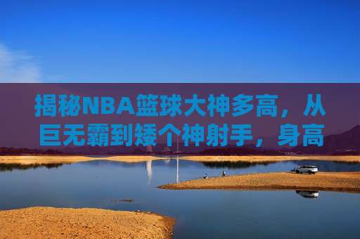 揭秘NBA篮球大神多高,从巨无霸到矮个神射手,身高决定上限吗?